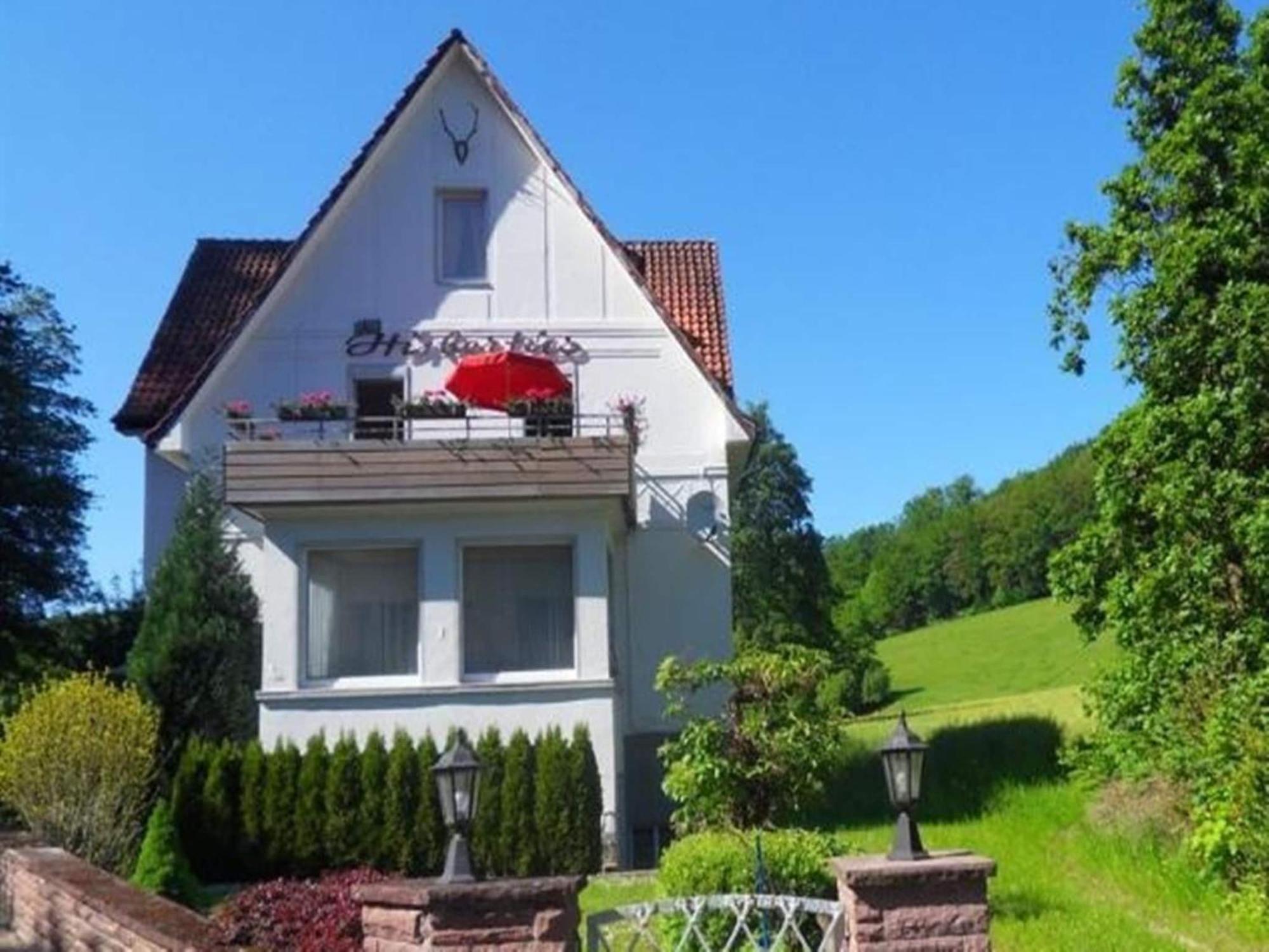 Spacious Apartment In Weser Uplands With Garden 巴特皮尔蒙特 外观 照片