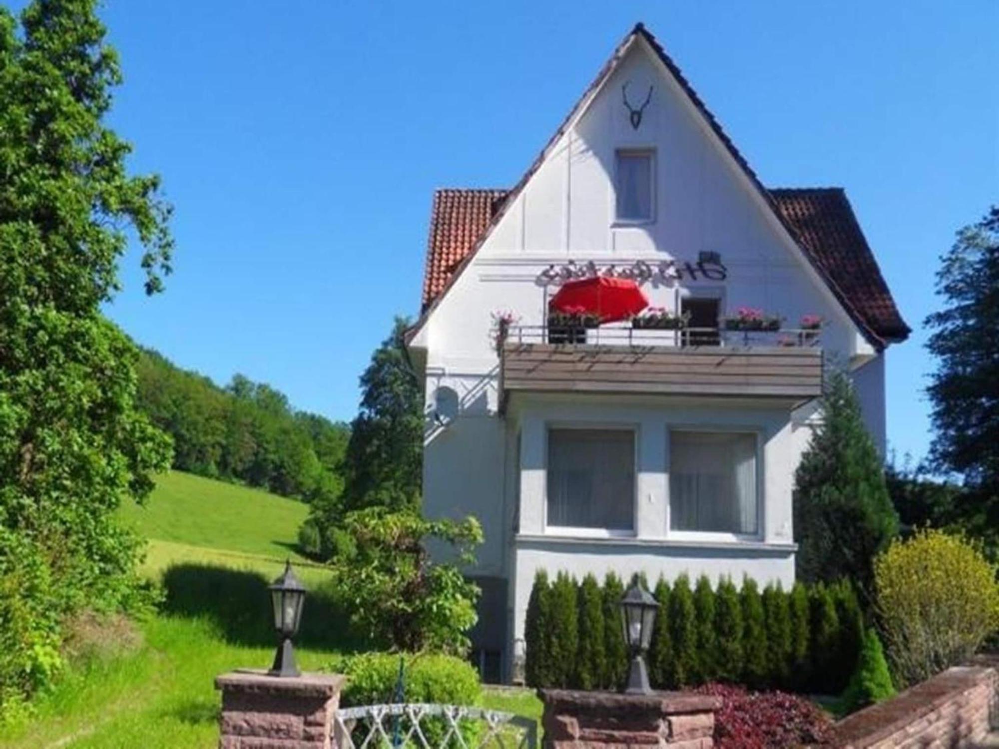 Spacious Apartment In Weser Uplands With Garden 巴特皮尔蒙特 外观 照片