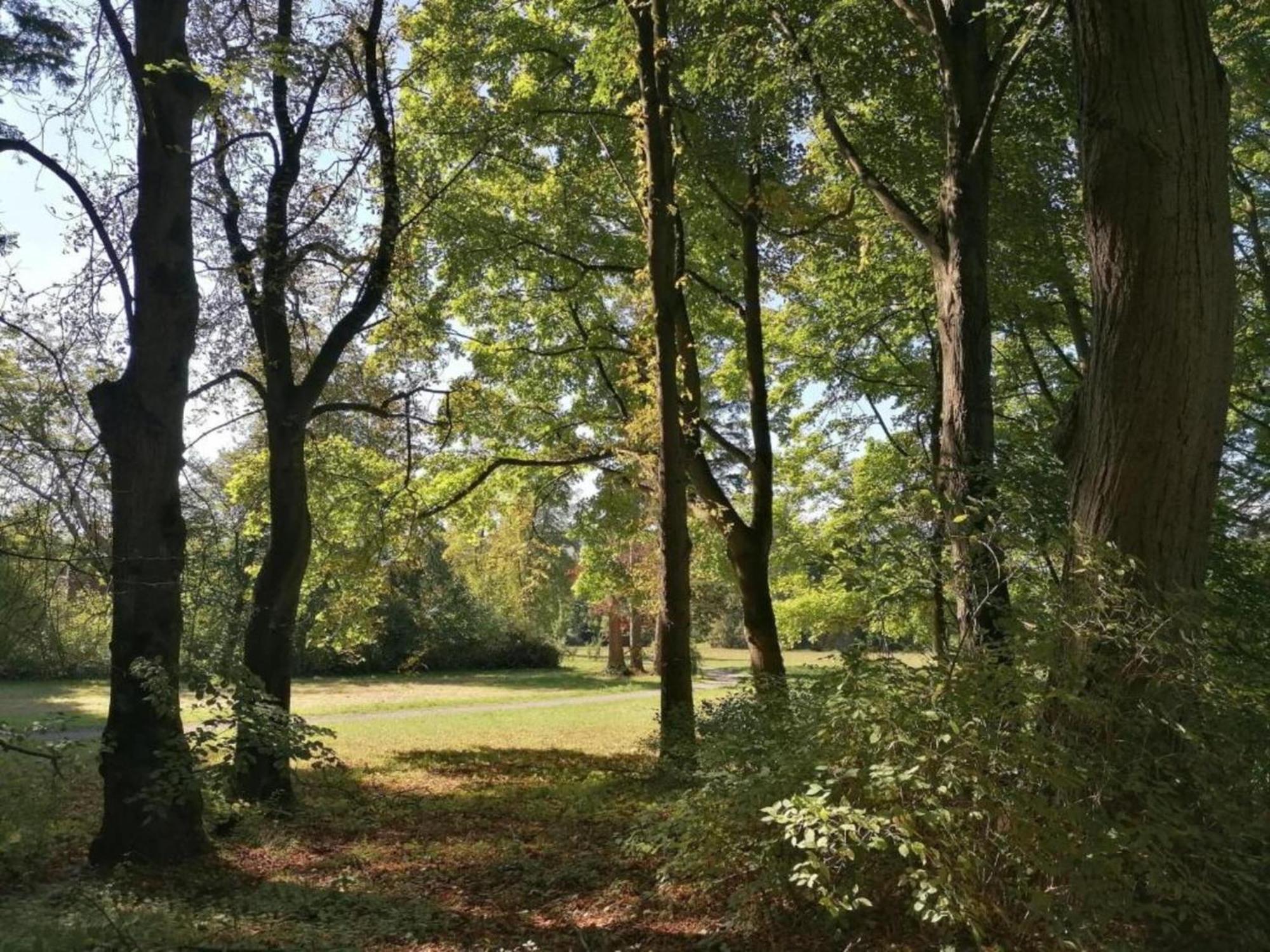 Spacious Apartment In Weser Uplands With Garden 巴特皮尔蒙特 外观 照片