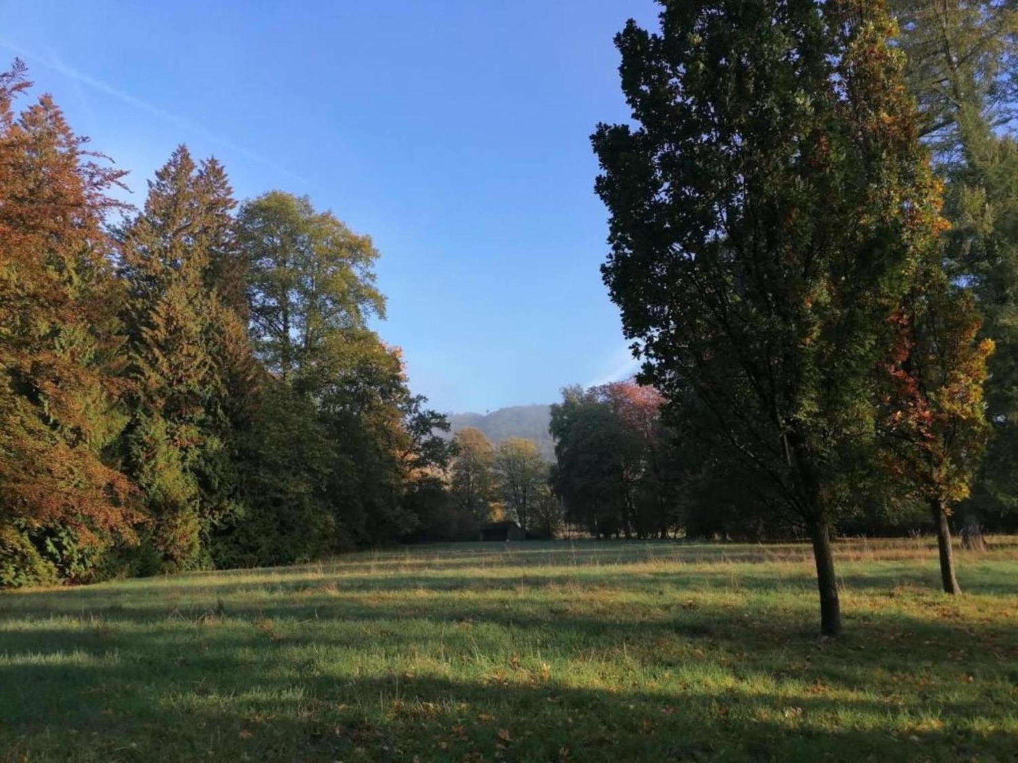 Spacious Apartment In Weser Uplands With Garden 巴特皮尔蒙特 外观 照片