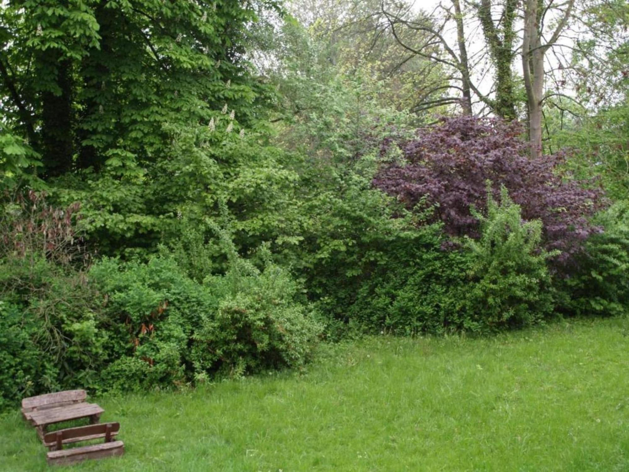 Spacious Apartment In Weser Uplands With Garden 巴特皮尔蒙特 外观 照片